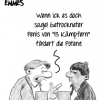 Die Lösung für das IS Problem