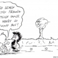 In den Arsch