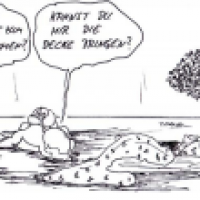 Januarregen