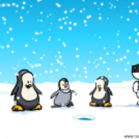 Singing Penguins
