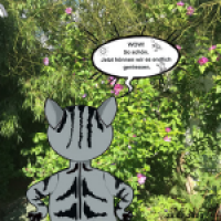 Och wie schön