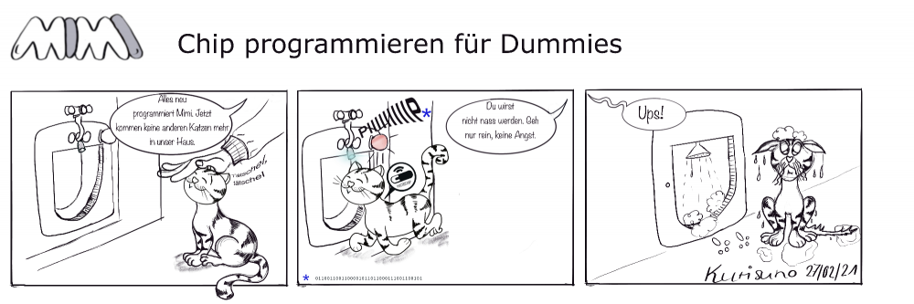 Comic: Programmieren für Dummies 1