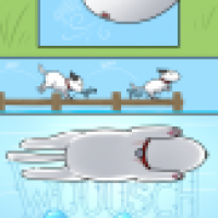 Bullterrier Abenteuer