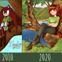 Redraw 2010 - 2020