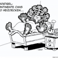 Omi Inkontinetia