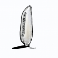 Auch mal ein Wortspiel