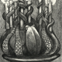 Oktopus