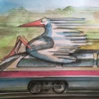 Kleine Vogelkunde - der Lokvogel