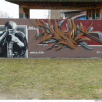 nexcalibur-wall