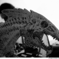 SkullDragon