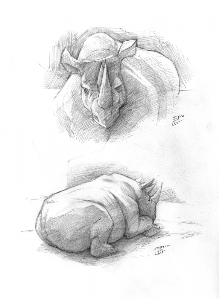 Concept Art / Character Design: Zoo-Doodles 04_2016 5