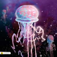 Qualle, Qualle, Qualle