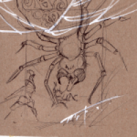 Spatzenreiter - Angriff der Spinne