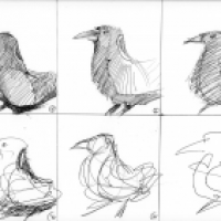 2017 (2) - von Raben, Schildkröten, Schaafen