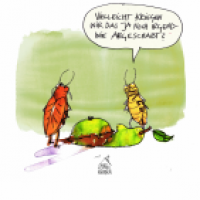 Schaben