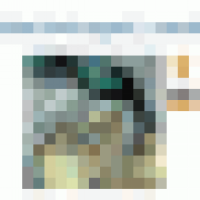 Jam Toons Englschalking