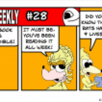 Beluga Weekly #28
