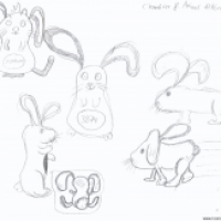 Hasi Studien