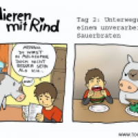 Studieren mit Rind: Tag 2