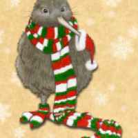 Kiwi Weihnachtskarte