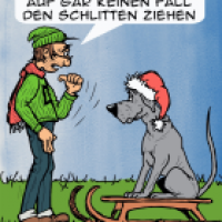 Weihnachtsspaziergang