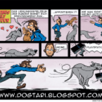 Apportieren mit Dogge Teil 4