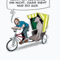 Verwöhnprogramm mit Dogge