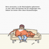 Wechseljahre