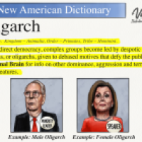 Oligarchy in America