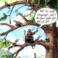 Singvogel