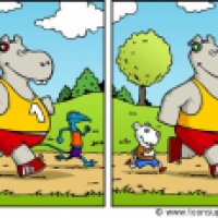 Fehlersuchbild Tierjogging