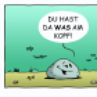 STEINE - Was am Kopf