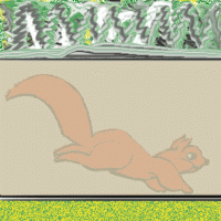 Eichhorn Rudi beim Frühstück