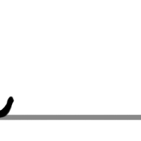 würmlidragooktopussy
