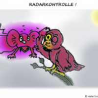 Radarkontrolle