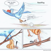 Rudi der Regenwurm - Rundflug