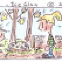 Stein- und Baumgesichter