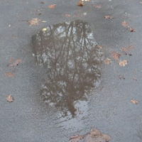 Die Pfütze