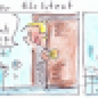 Der Elchtest