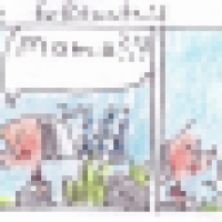 Die Erkenntnis