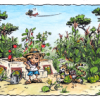 Milpa, Milpa!
