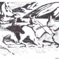 The Gallop