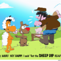 Sheep Dapp