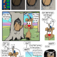 Who's Hoo?  Who knew?