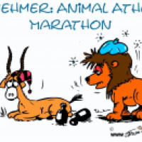 Animal Athletics: Marathon