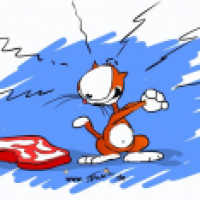 Katzenstudie