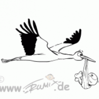 Storch