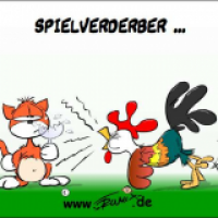 Spielverderber ...