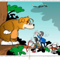 Der Bär ist los ...