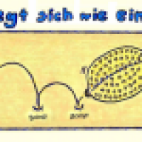 Zitröne